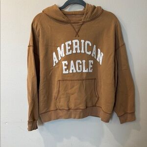 American Eagle Outfitters Brown Hooded Sweatshirt